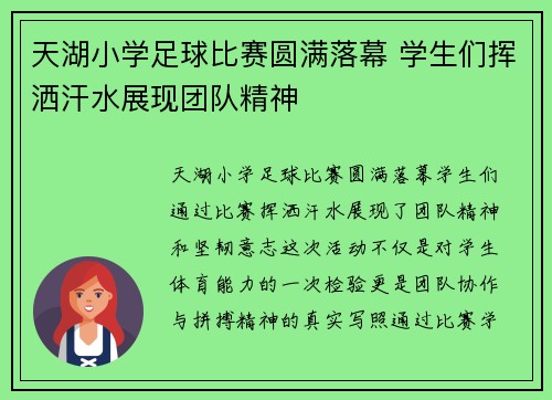 天湖小学足球比赛圆满落幕 学生们挥洒汗水展现团队精神