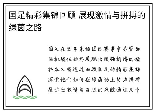 国足精彩集锦回顾 展现激情与拼搏的绿茵之路