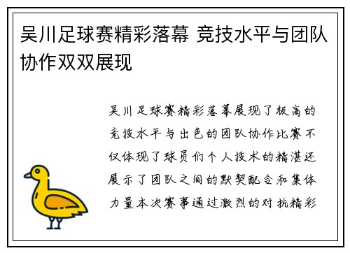 吴川足球赛精彩落幕 竞技水平与团队协作双双展现