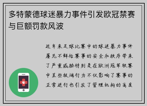 多特蒙德球迷暴力事件引发欧冠禁赛与巨额罚款风波
