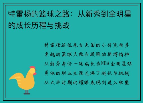 特雷杨的篮球之路：从新秀到全明星的成长历程与挑战