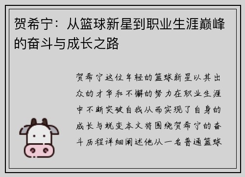 贺希宁：从篮球新星到职业生涯巅峰的奋斗与成长之路