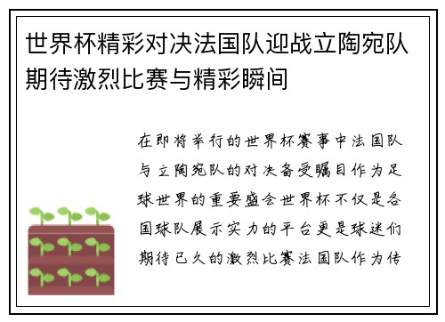 世界杯精彩对决法国队迎战立陶宛队期待激烈比赛与精彩瞬间