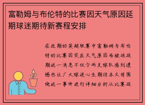 富勒姆与布伦特的比赛因天气原因延期球迷期待新赛程安排