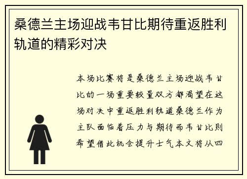 桑德兰主场迎战韦甘比期待重返胜利轨道的精彩对决