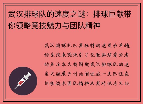 武汉排球队的速度之谜：排球巨献带你领略竞技魅力与团队精神